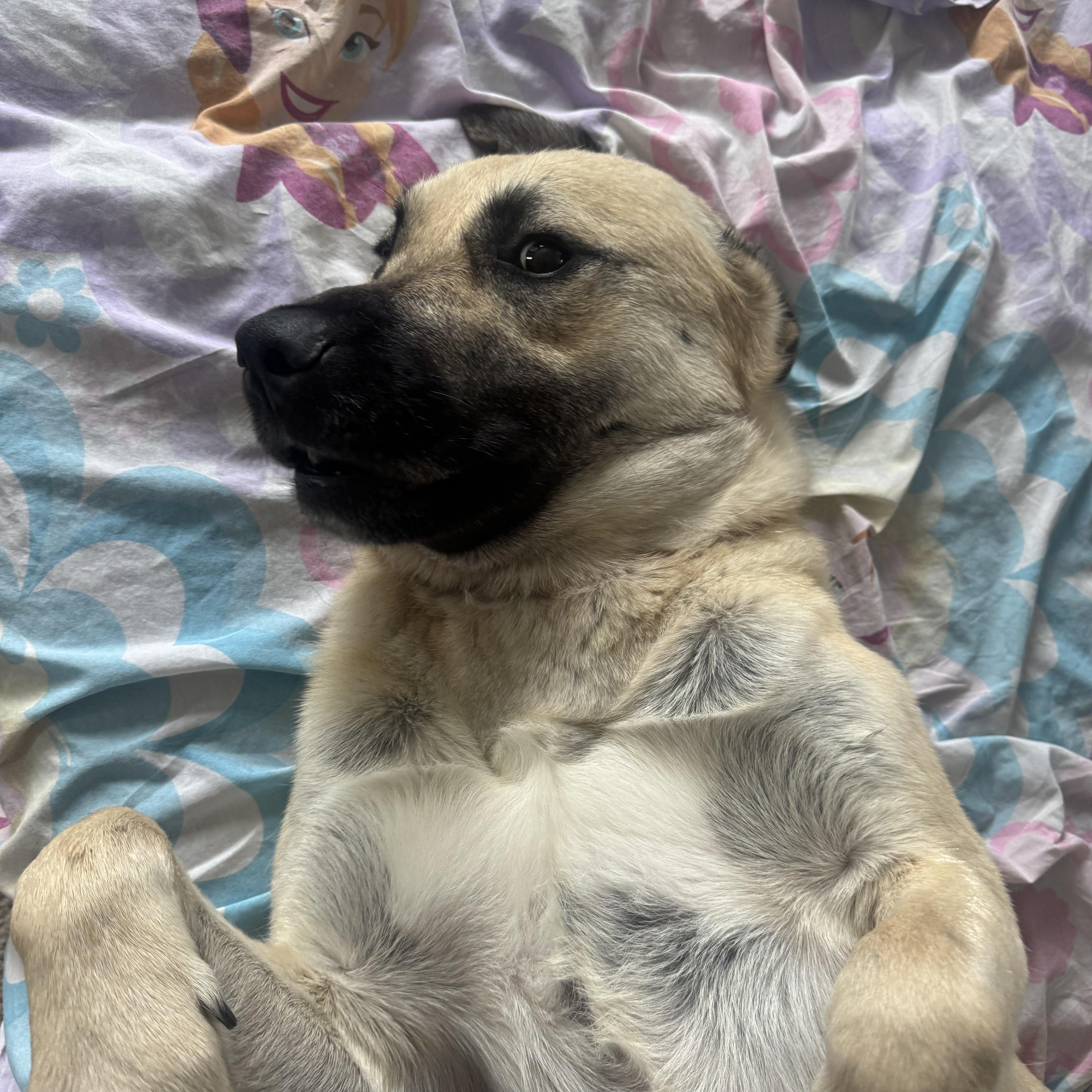 Chloe
