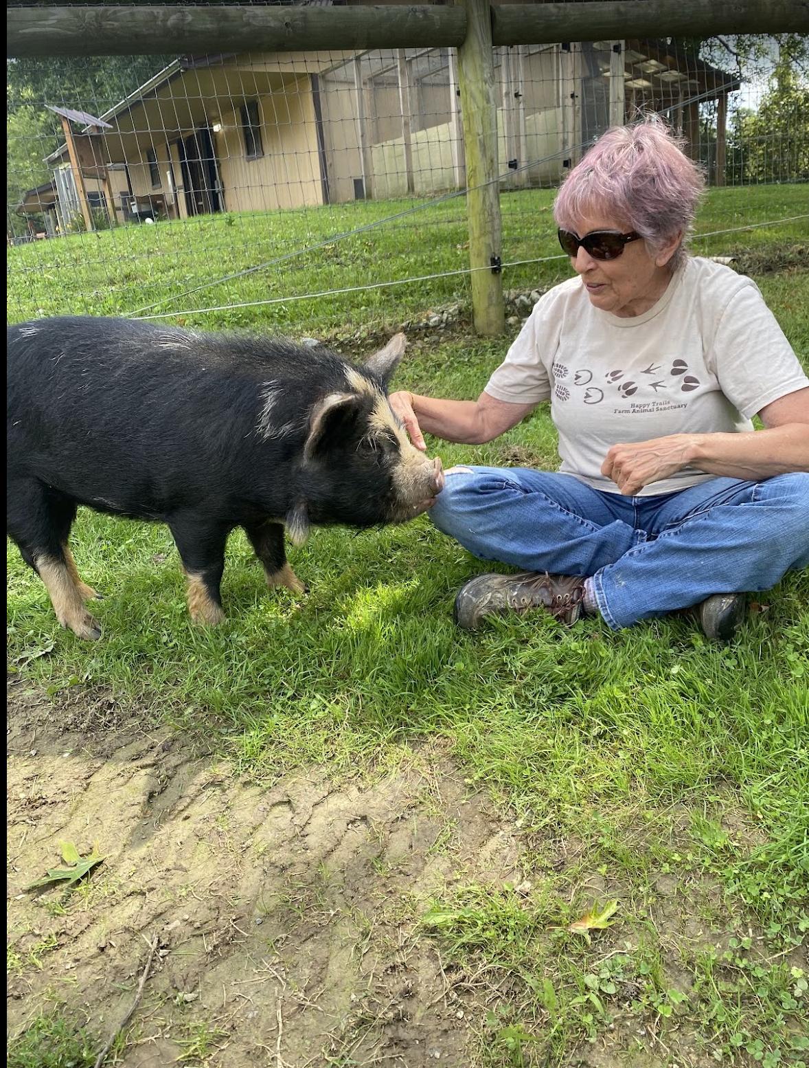 Enlarge Dorothy, a Adoptable Pig in Ravenna, OH image 2/2