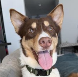 Mono — thumbnail 2