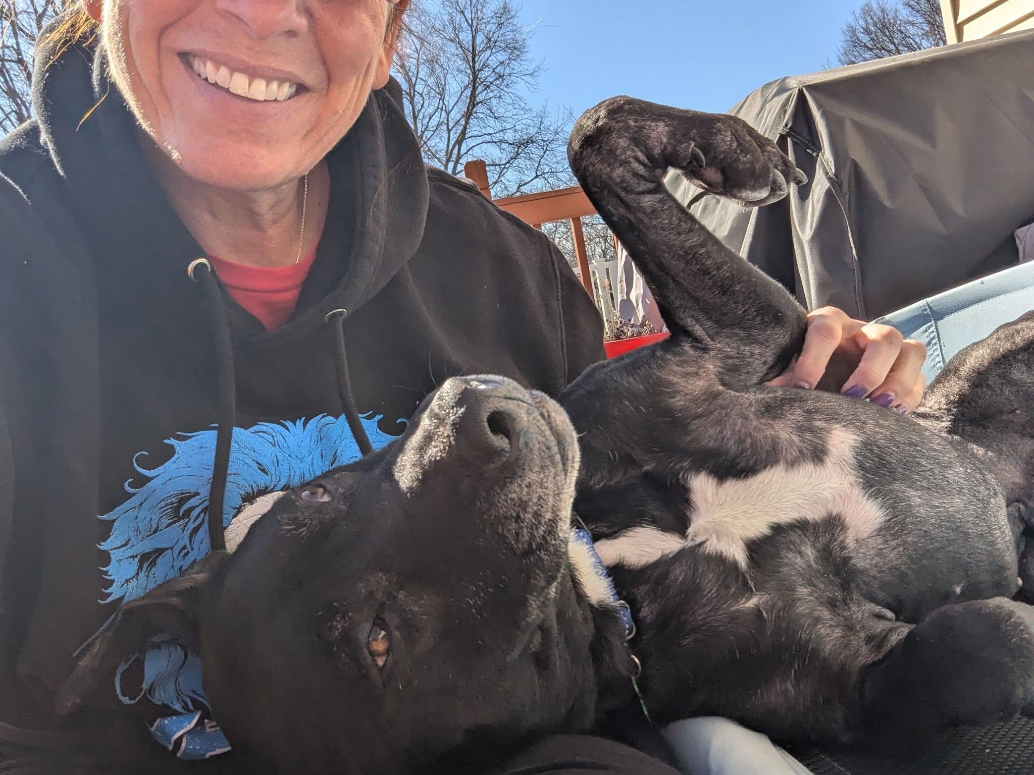 Milo, a Adoptable mixed breed in Itasca, IL image 5/6