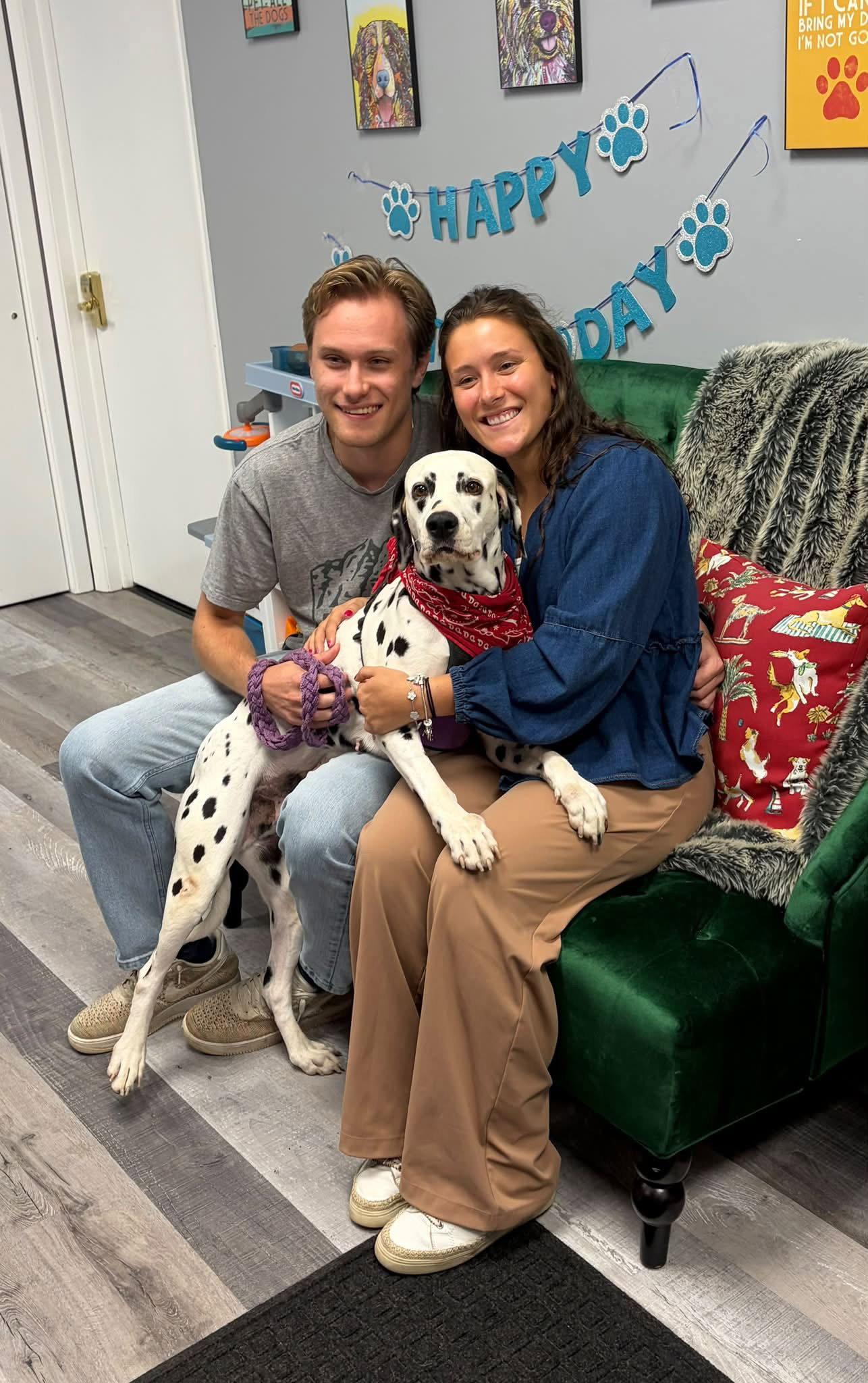 Enlarge Dolly, a Adopted Dalmatian in Tonawanda, NY image 3/3