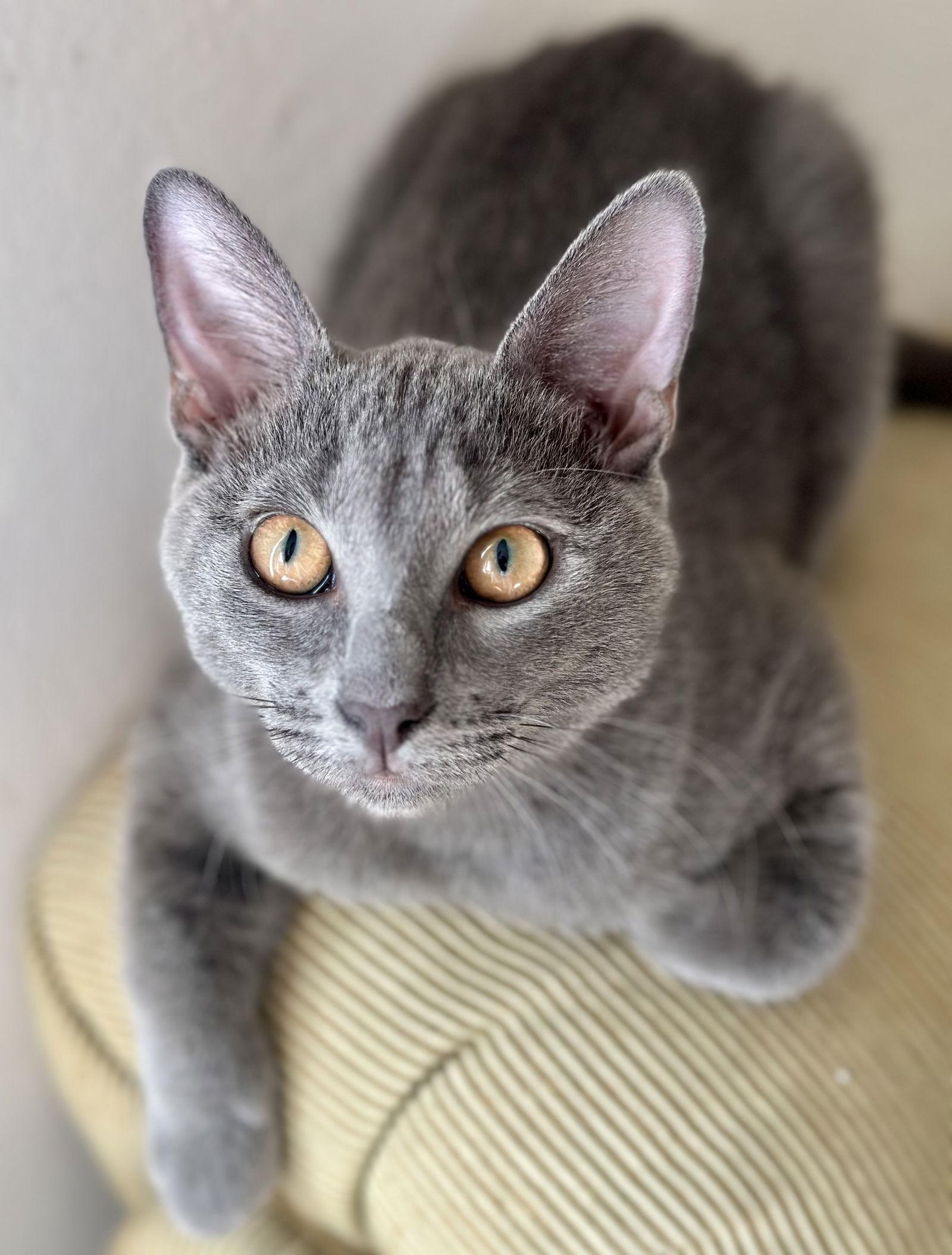 Misty And Mama Bella thumbnail 4