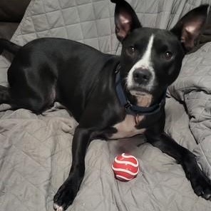Wiggles
