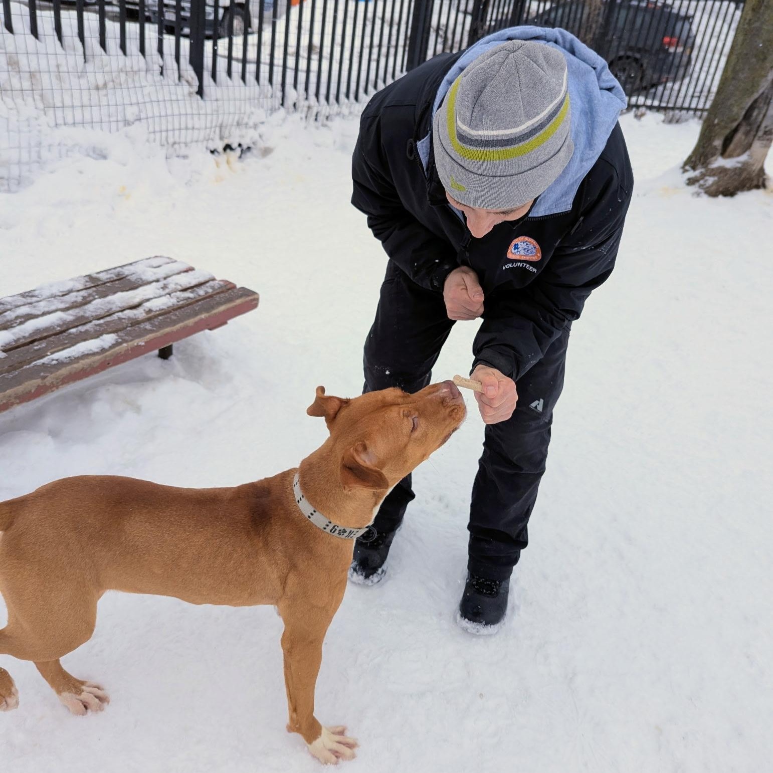 Cherry pop — thumbnail 3