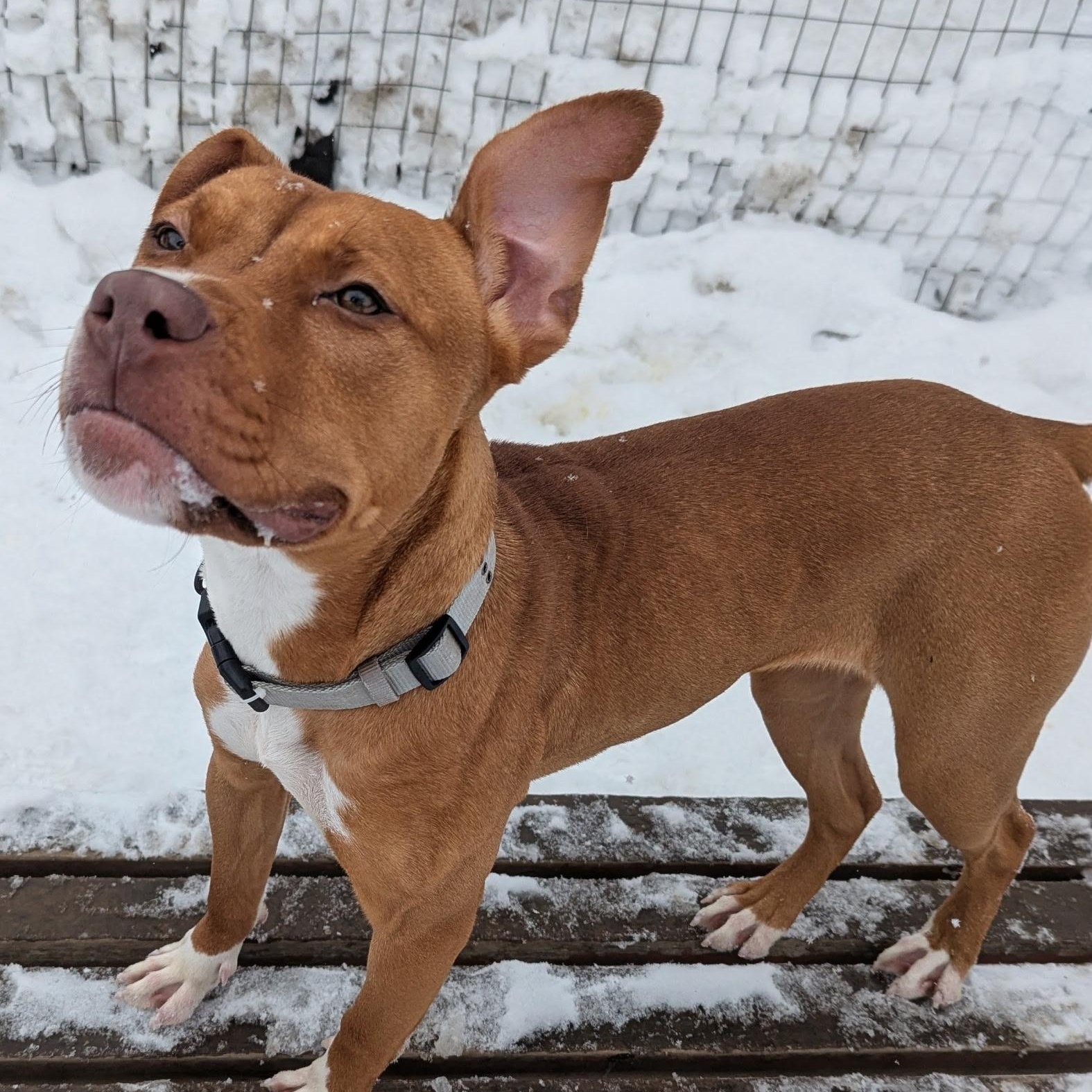 Cherry pop — thumbnail 6