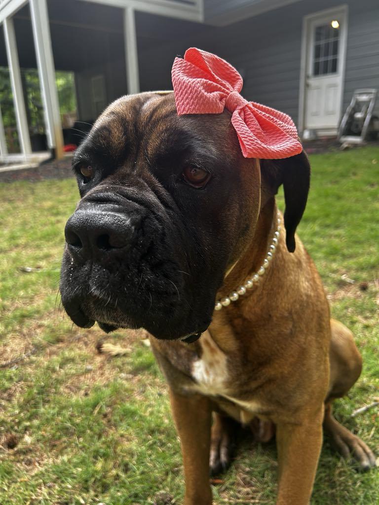 Tilly
