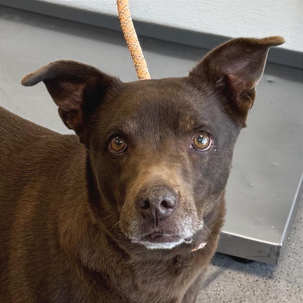 Layla — thumbnail 3