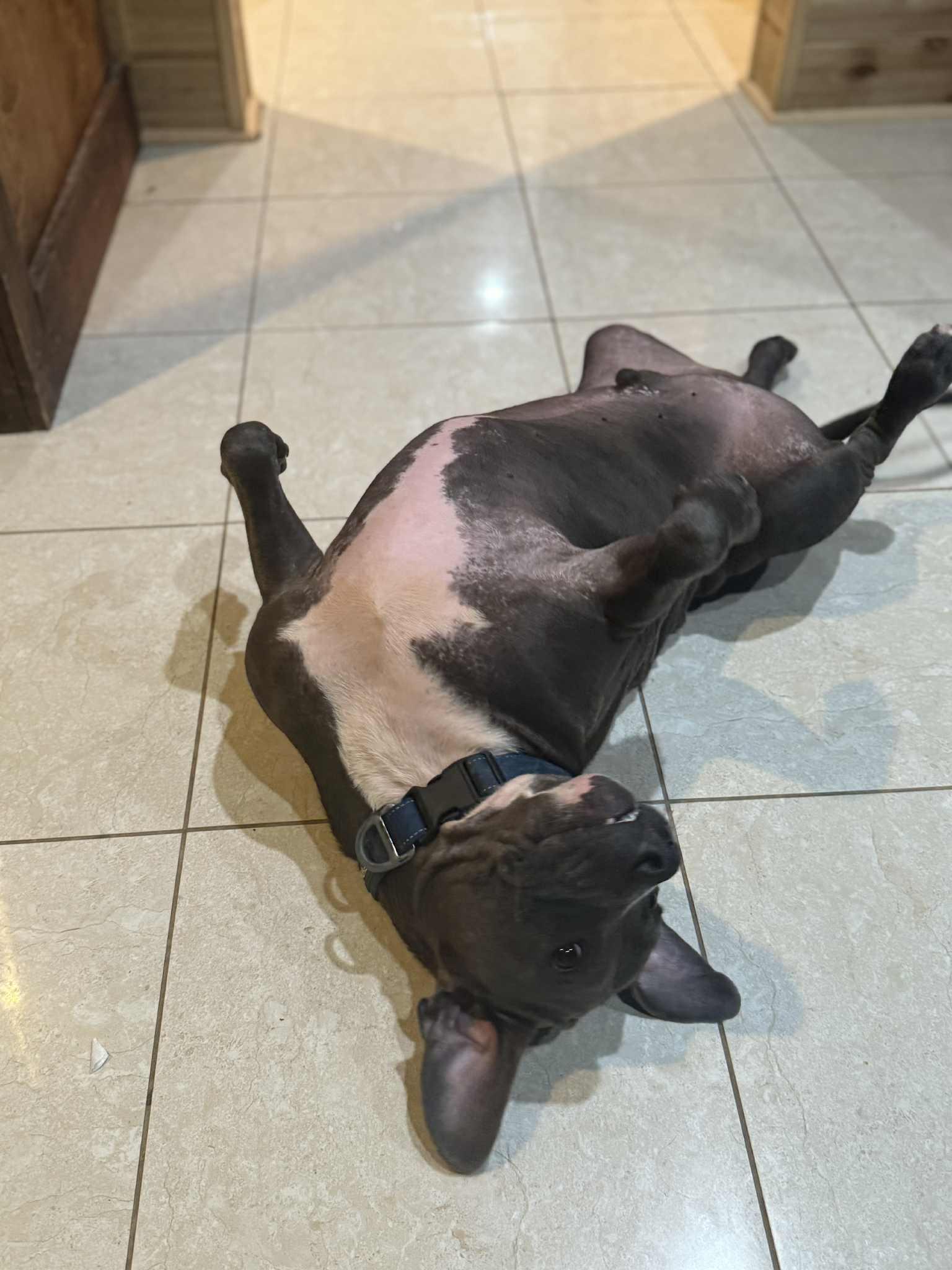 Angelo : Big heart. Bigger smile