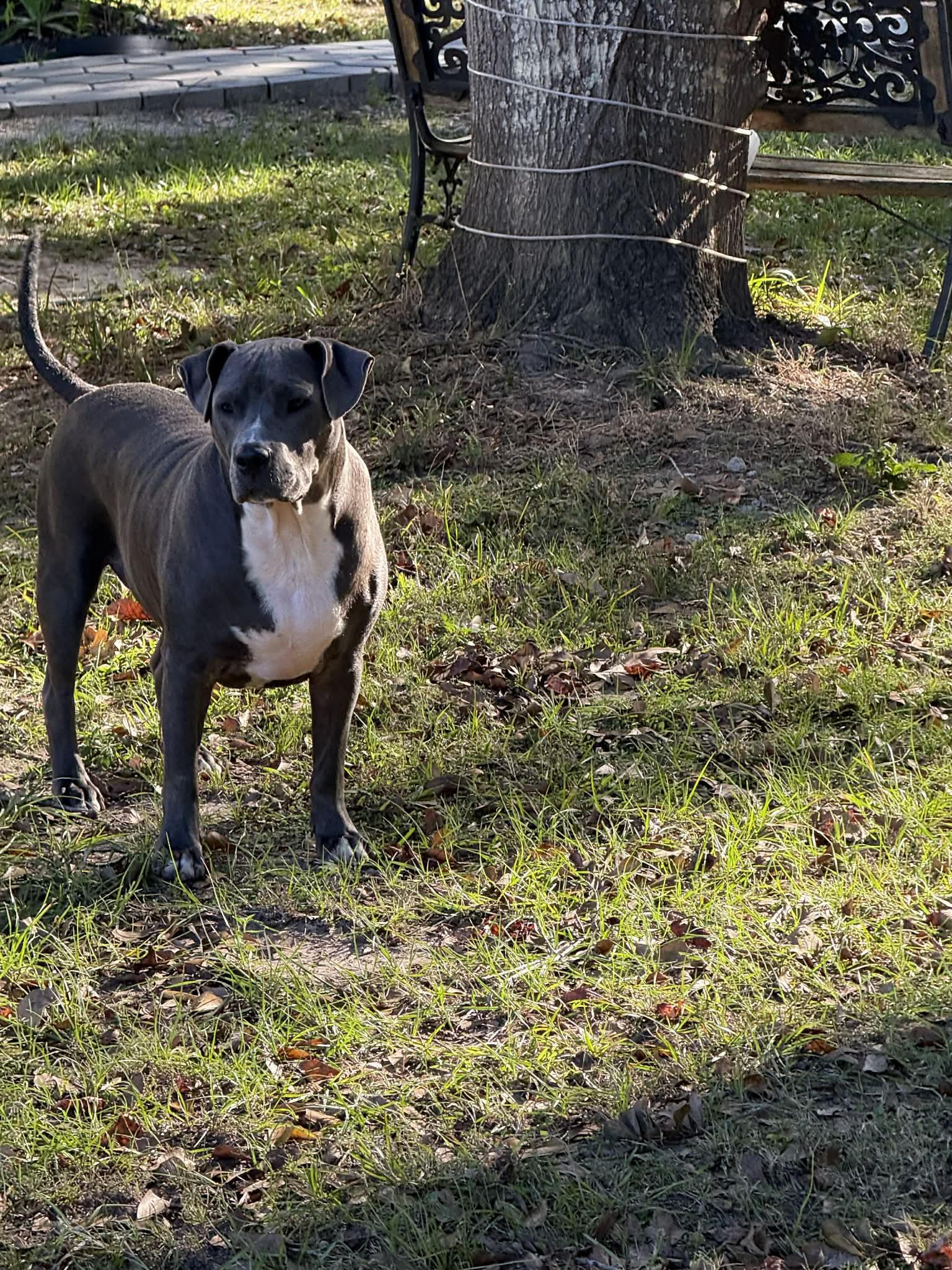 Angelo : Big heart. Bigger smile — thumbnail 5