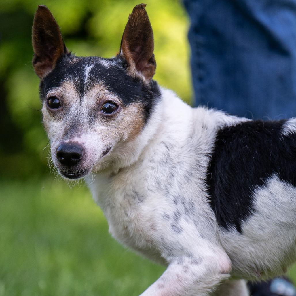 Starlight thumbnail 2