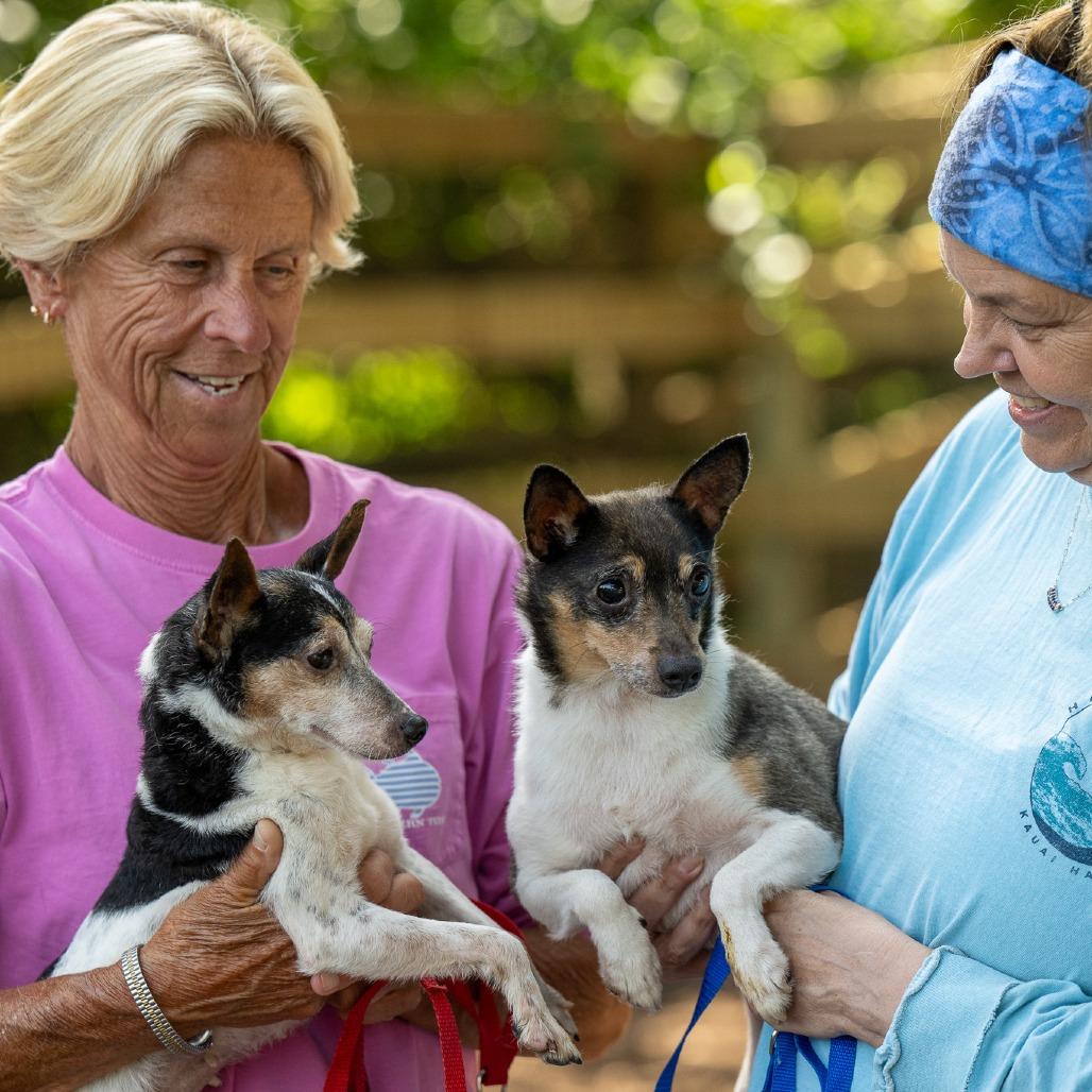 Starlight thumbnail 4