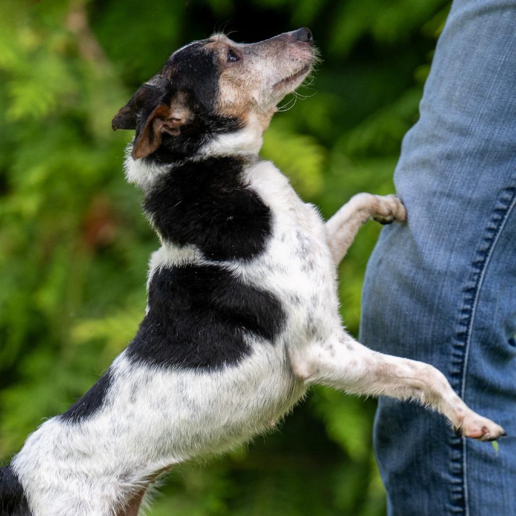 Starlight thumbnail 6