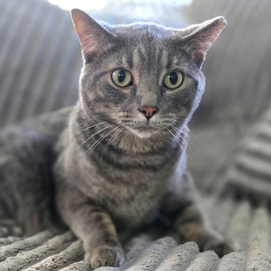 Fluff — thumbnail 2