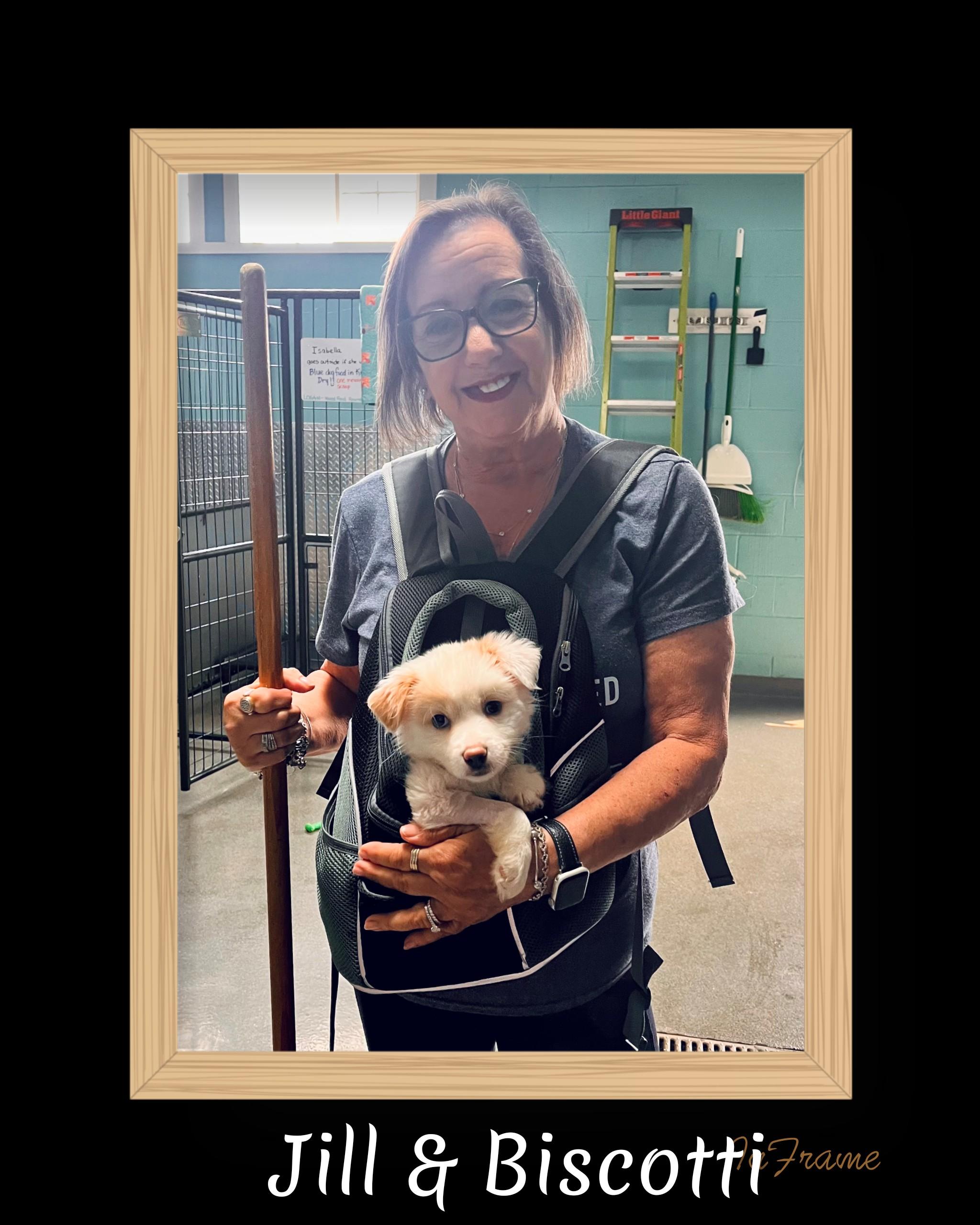 Biscotti, an adopted Mixed Breed in Fredericksburg, VA image 5/6
