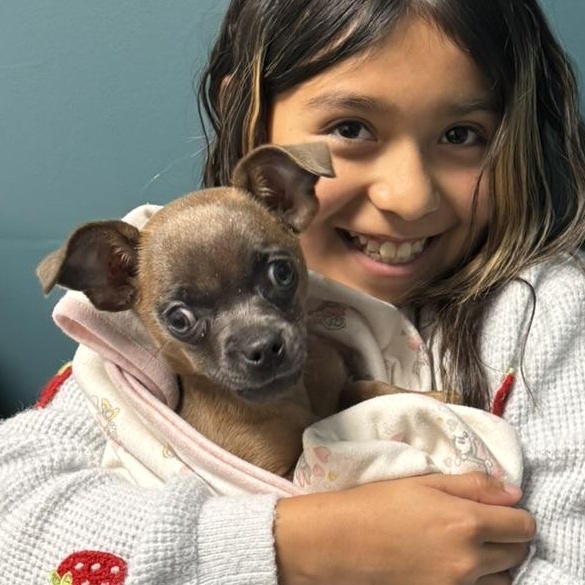 Little Miss Daisy thumbnail 4