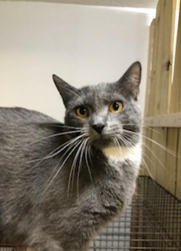 Chloe (video) loves to be loved