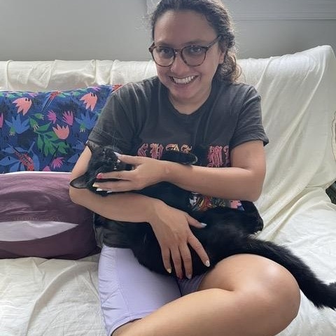 Enlarge Porchy, an adopted Domestic Short Hair in Philadelphia, PA image 5/5