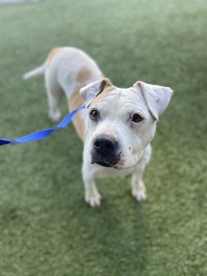 Jenny — thumbnail 2