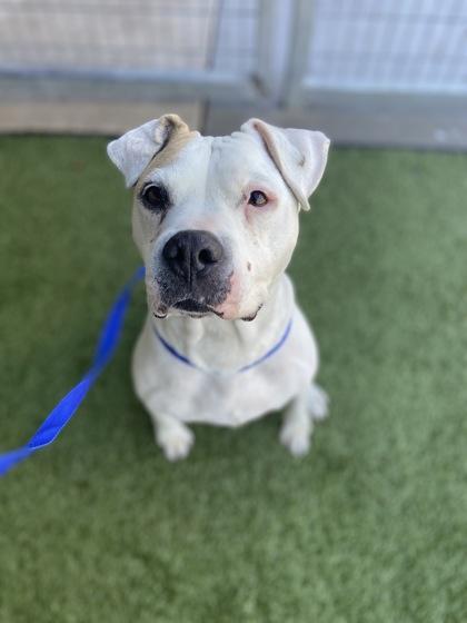 Jenny — thumbnail 3