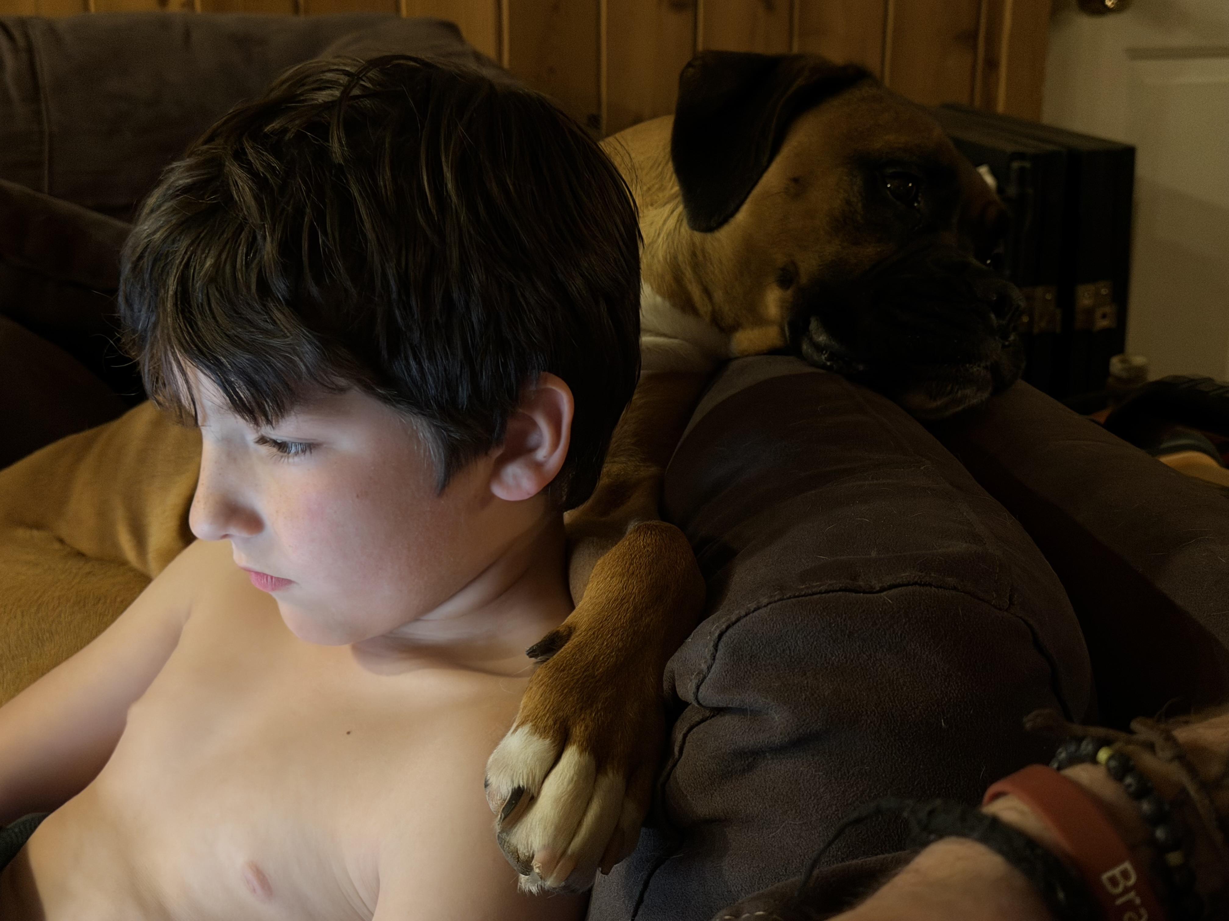 Norman , a ADOPTABLE mixed breed in Succasunna, NJ image 2/6