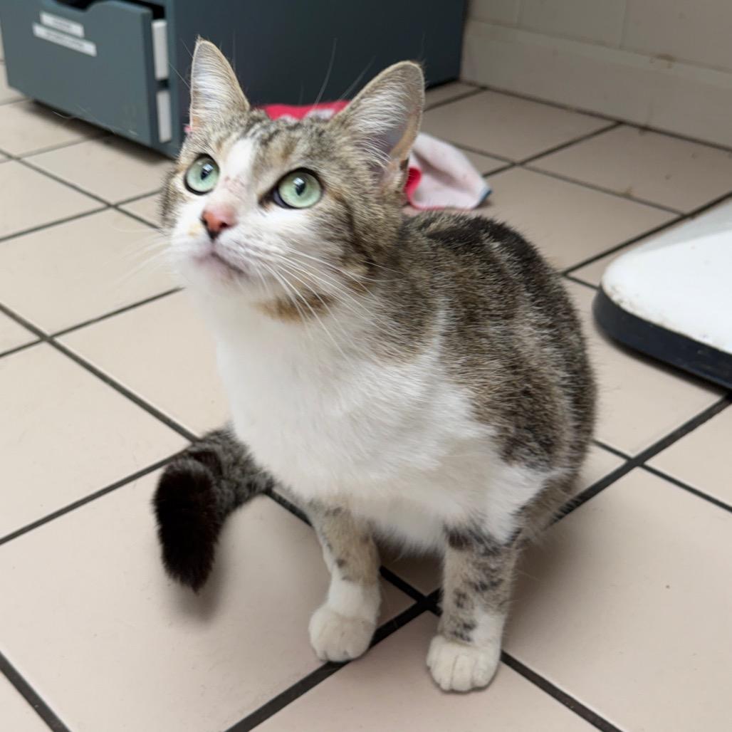 Kendall — thumbnail 2