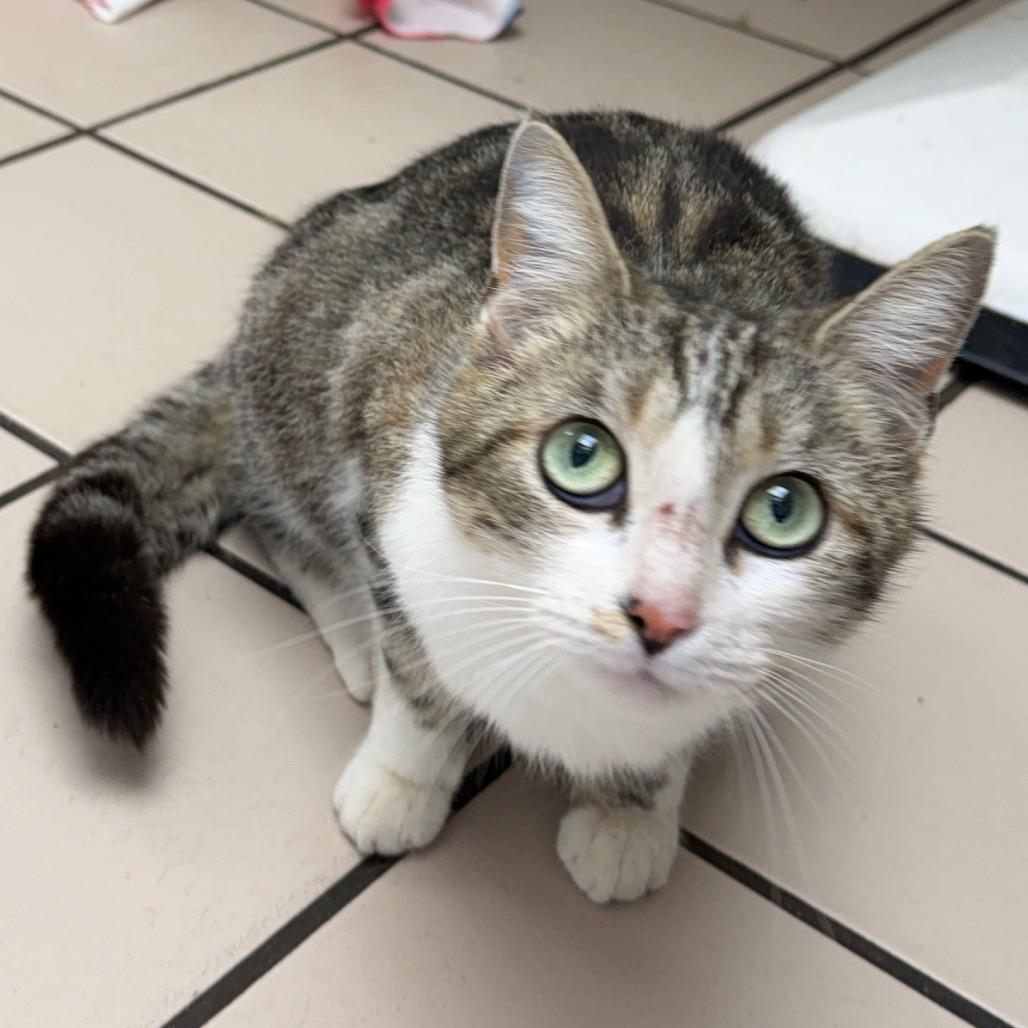 Kendall — thumbnail 3