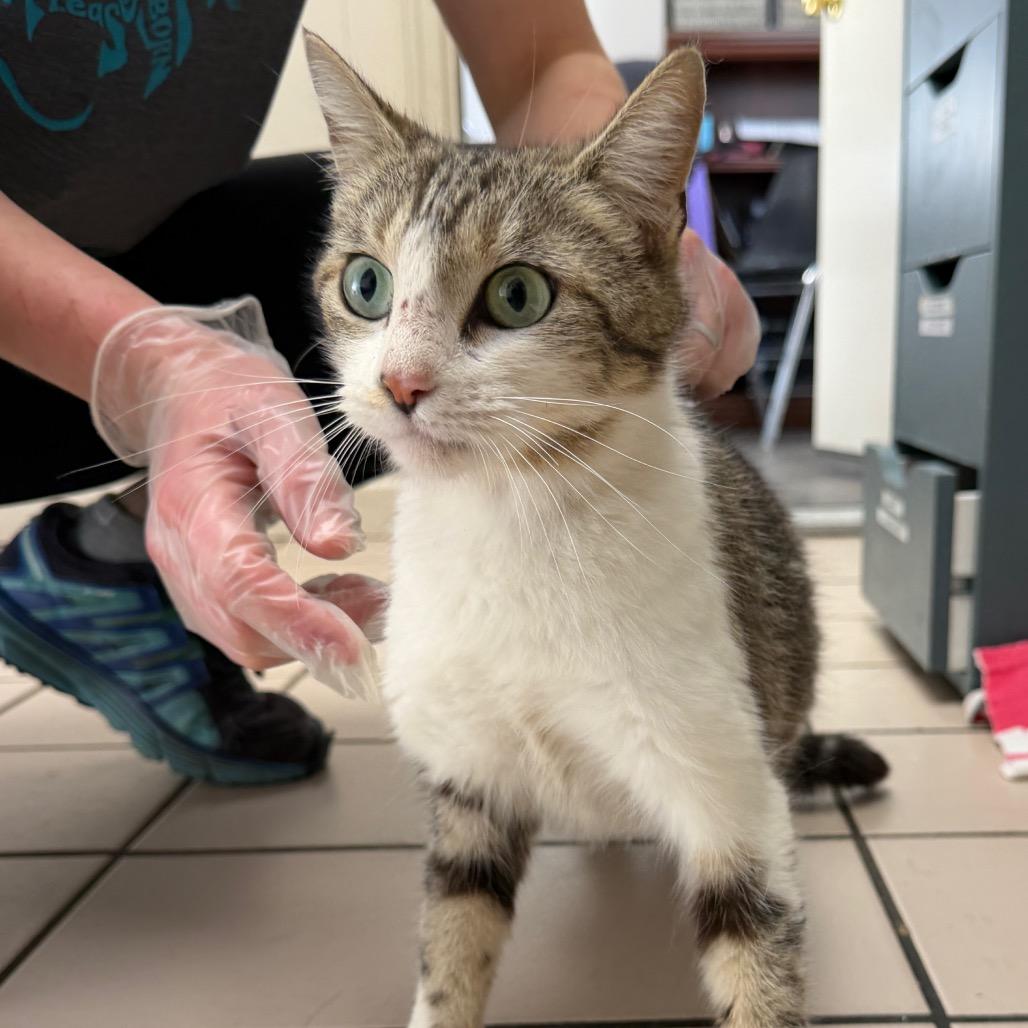 Kendall — thumbnail 5