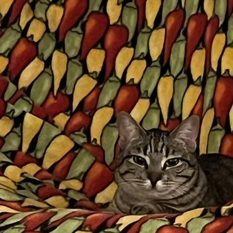 Enlarge Autumn, a ADOPTABLE Tabby in Crockett, CA image 3/6