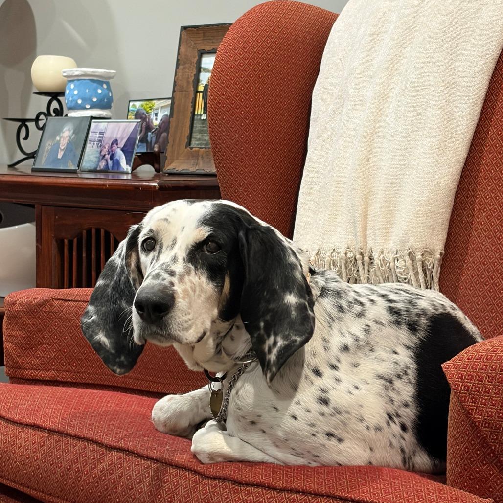 Oreo AB — thumbnail 2