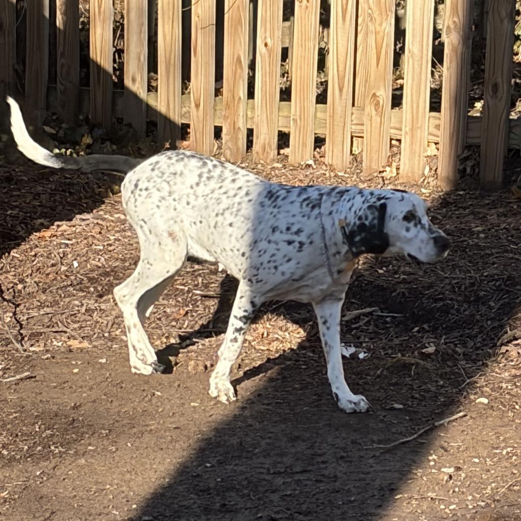 Oreo AB — thumbnail 5