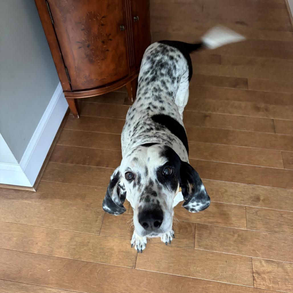 Oreo AB — thumbnail 6