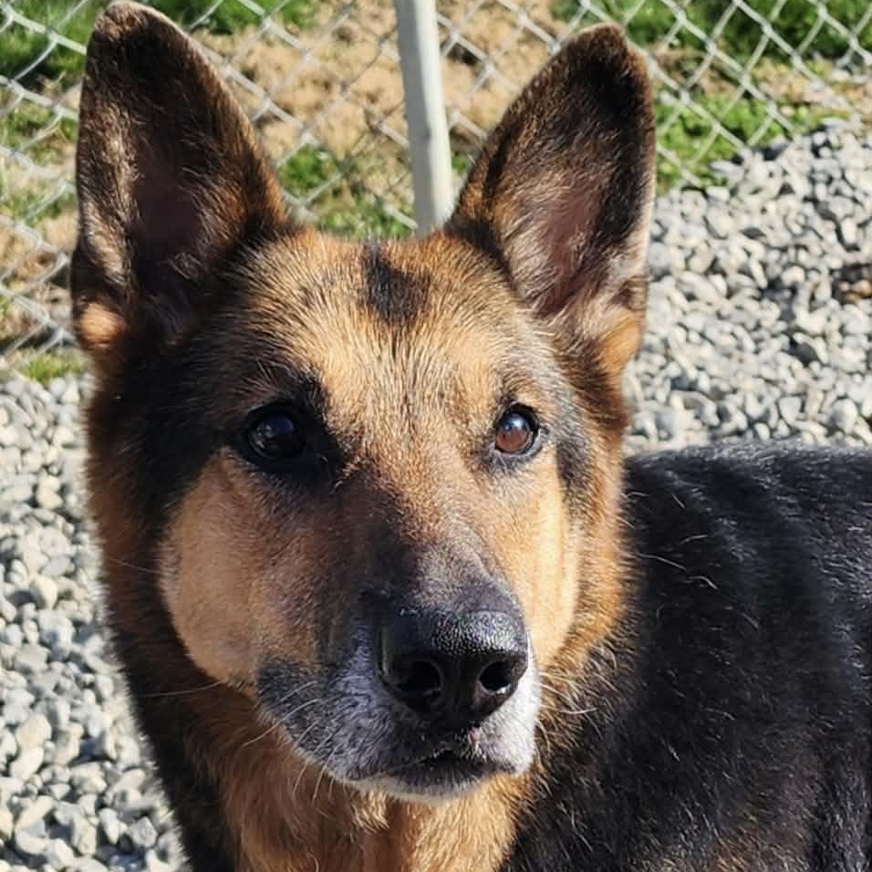 Ellie — thumbnail 6