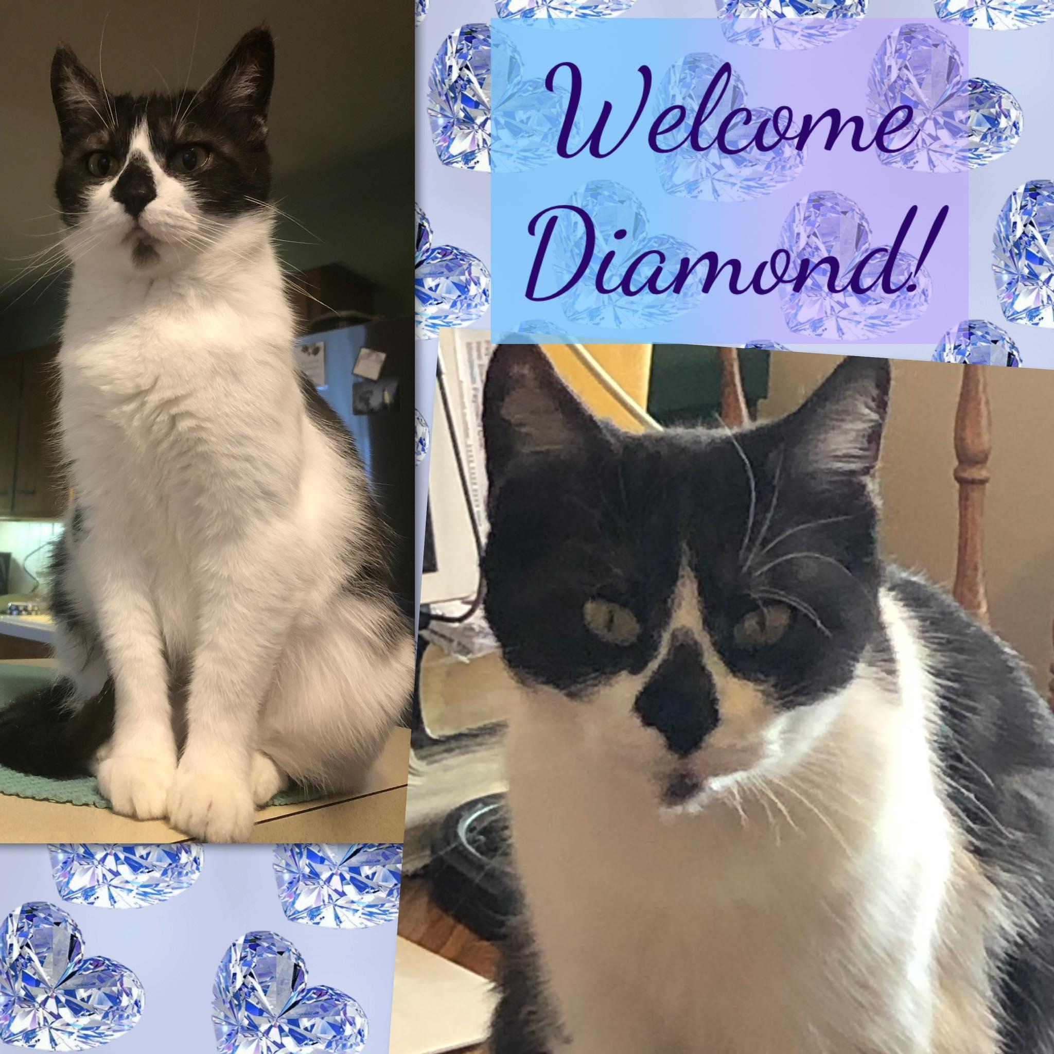 Diamond