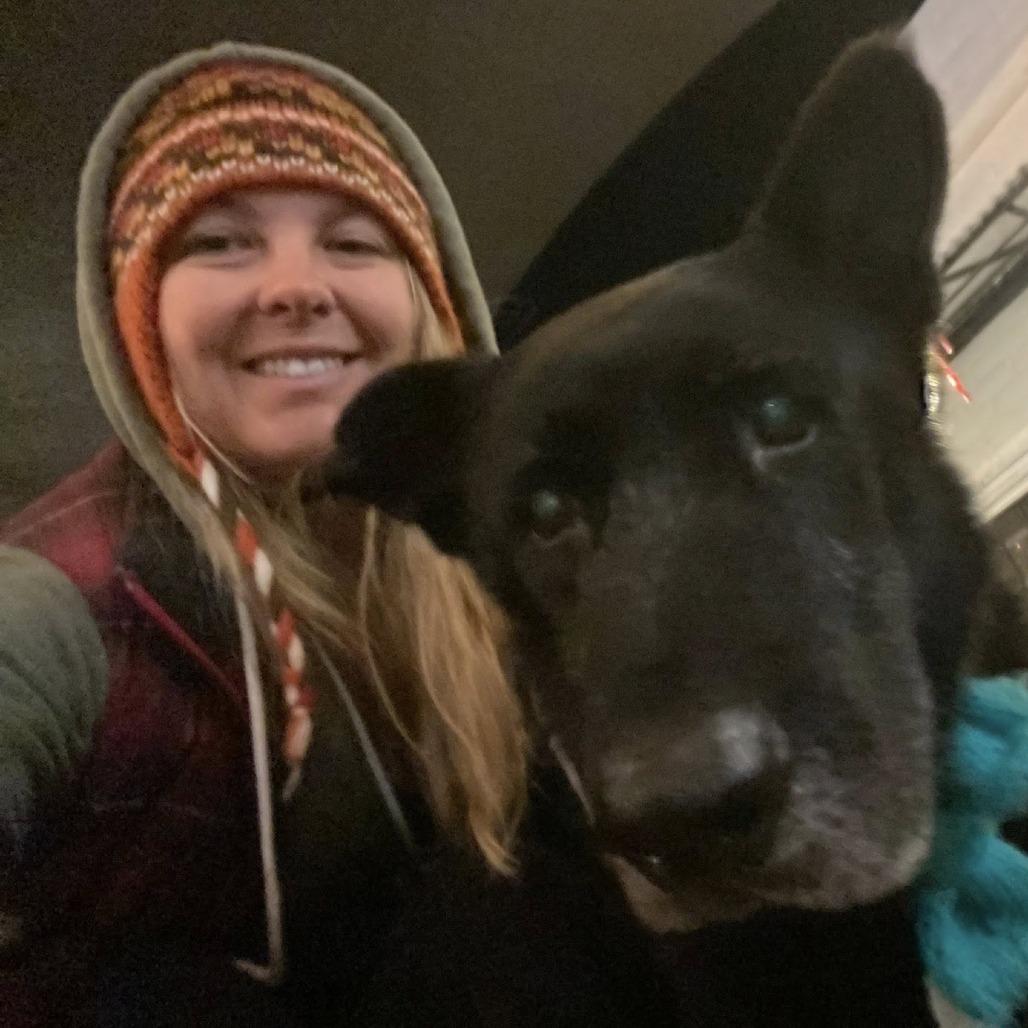 Enlarge Milton Darigold, a Adoptable German Shepherd Dog in Ramona, CA image 2/5