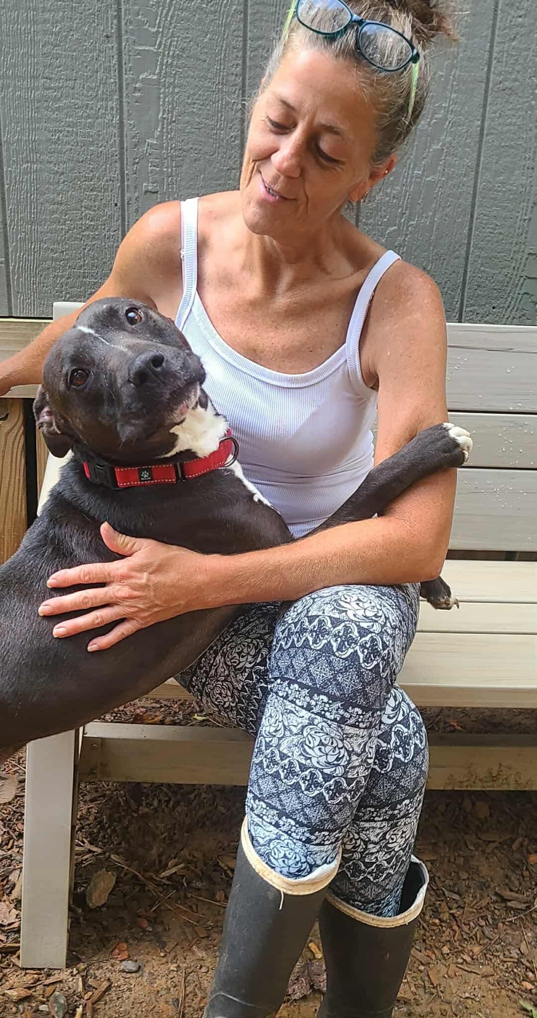 Hugo, a Adoptable Pit Bull Terrier in Roanoke, AL image 5/6