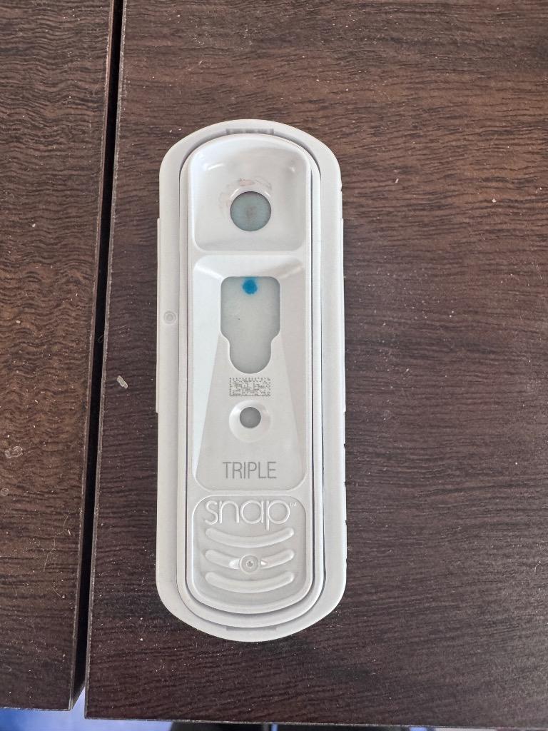 Enlarge Big Papa, a Adoptable mixed breed in Johnson City, TN image 4/5