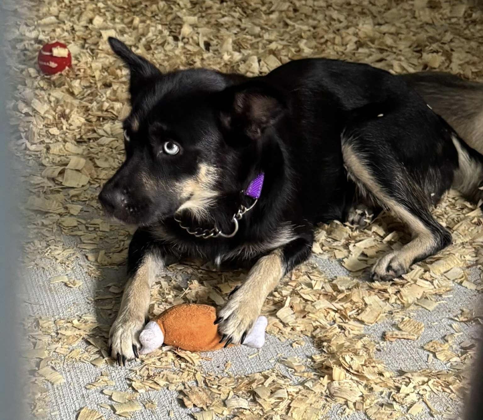 Grace Azul thumbnail 3