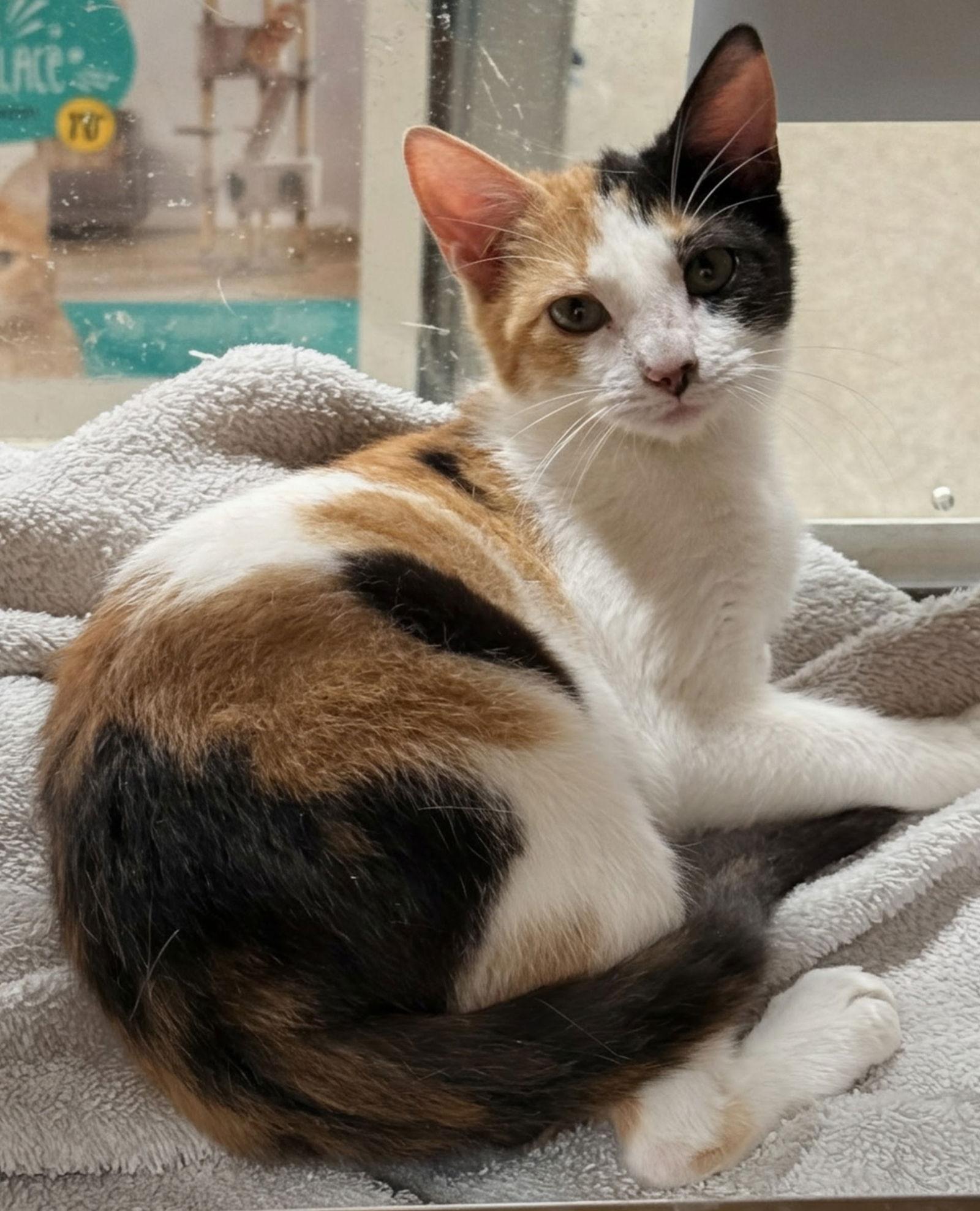 Libby 10.10.25 — thumbnail 2