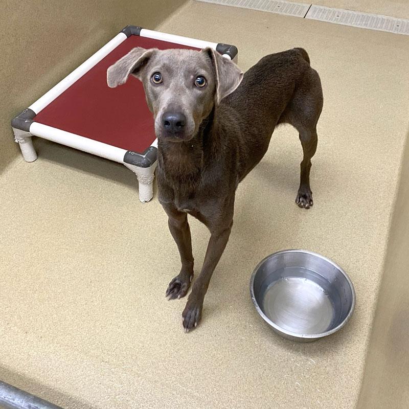 Jack Skellington thumbnail 3