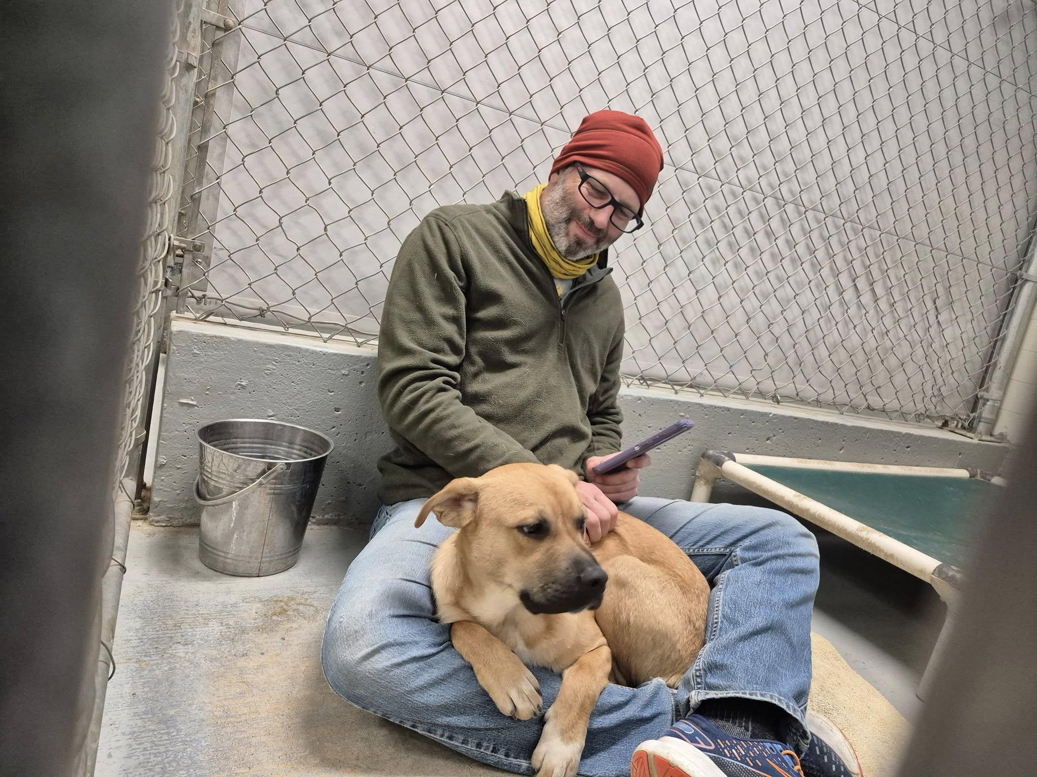 Enlarge Rufus, a Adoptable mixed breed in Libby, MT image 5/6