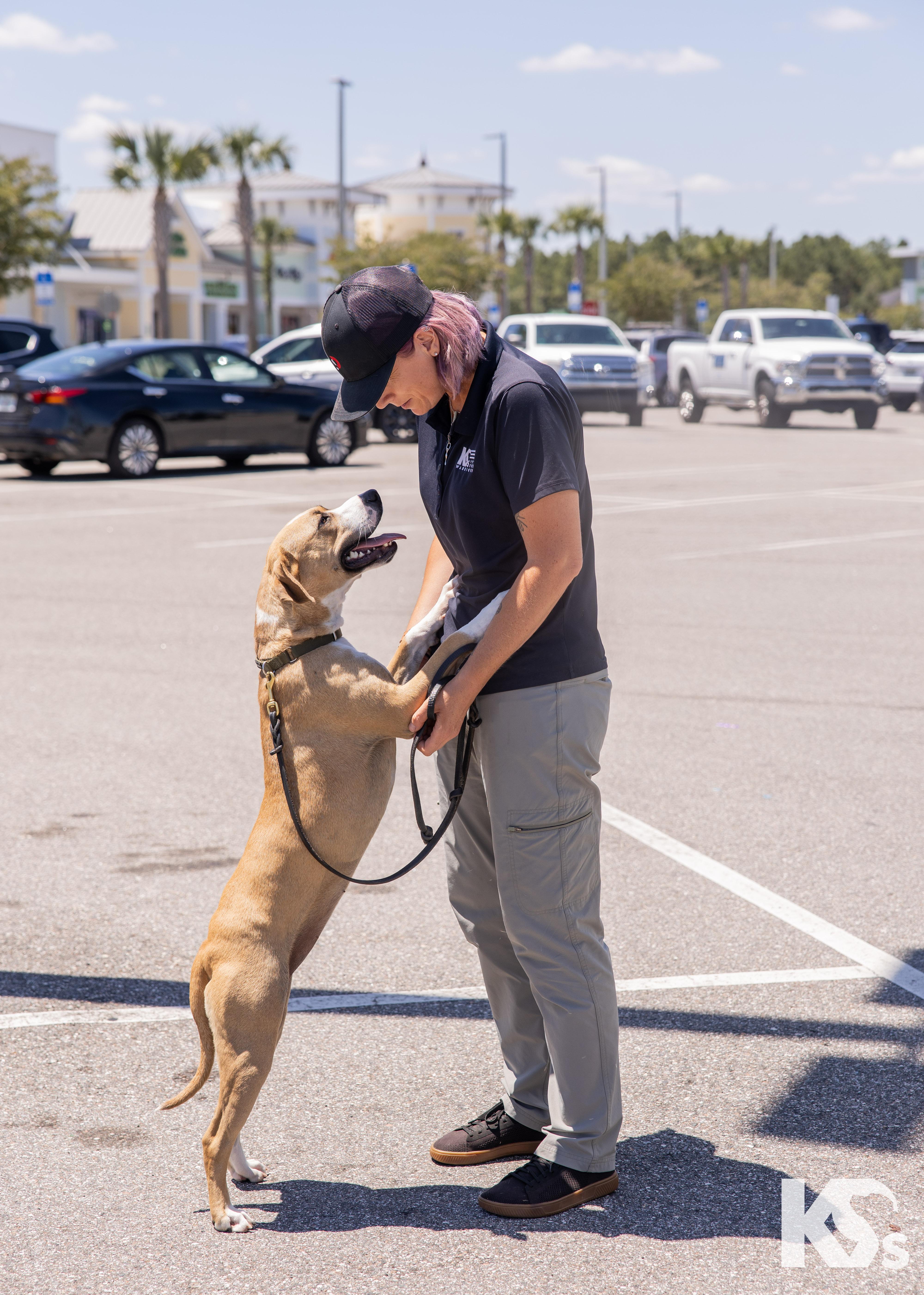 Cholula, a ADOPTABLE mixed breed in Ponte Vedra, FL image 5/5