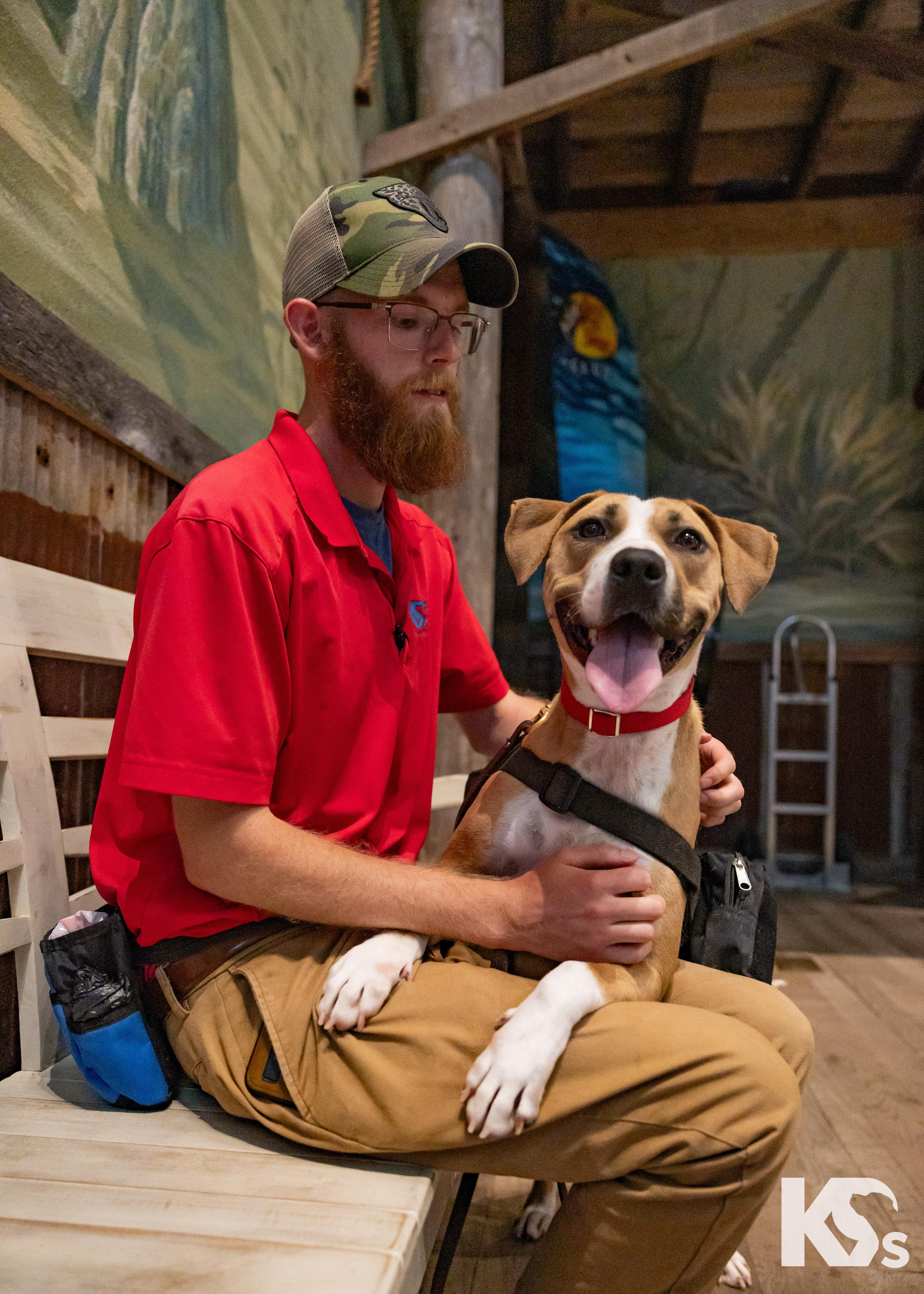 Cholula, a ADOPTABLE mixed breed in Ponte Vedra, FL image 2/5