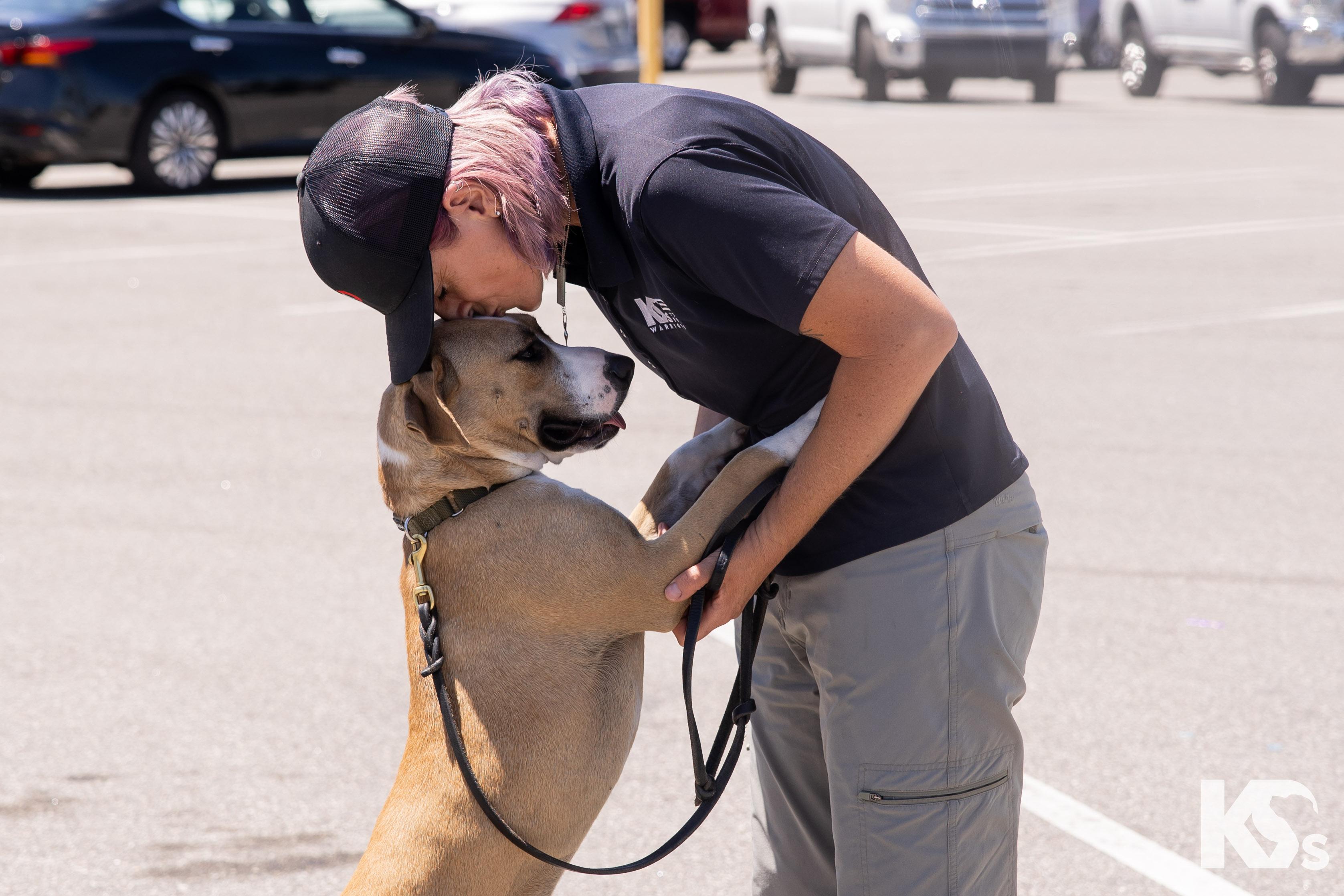 Cholula, a ADOPTABLE mixed breed in Ponte Vedra, FL image 3/5
