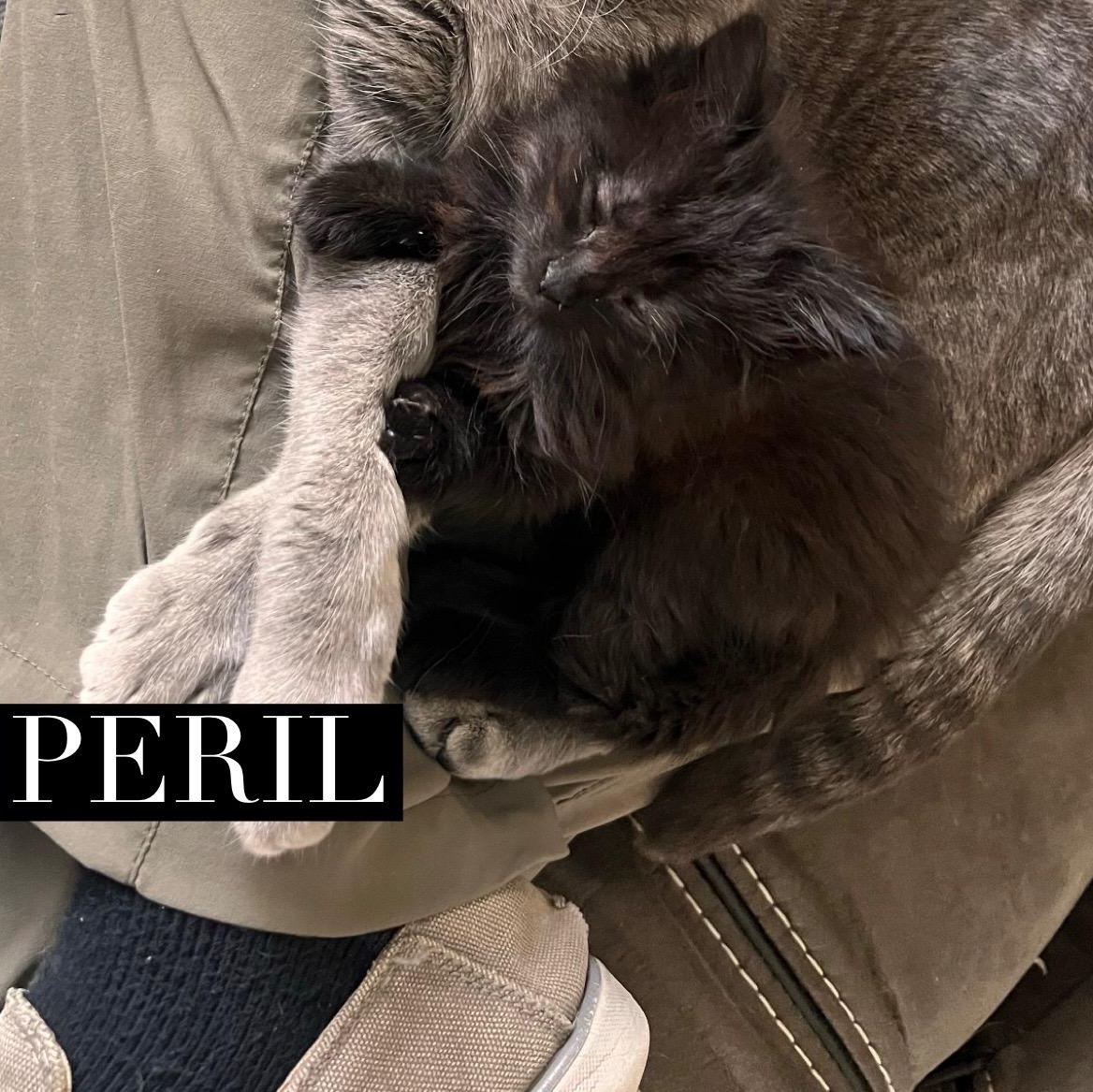 Peril