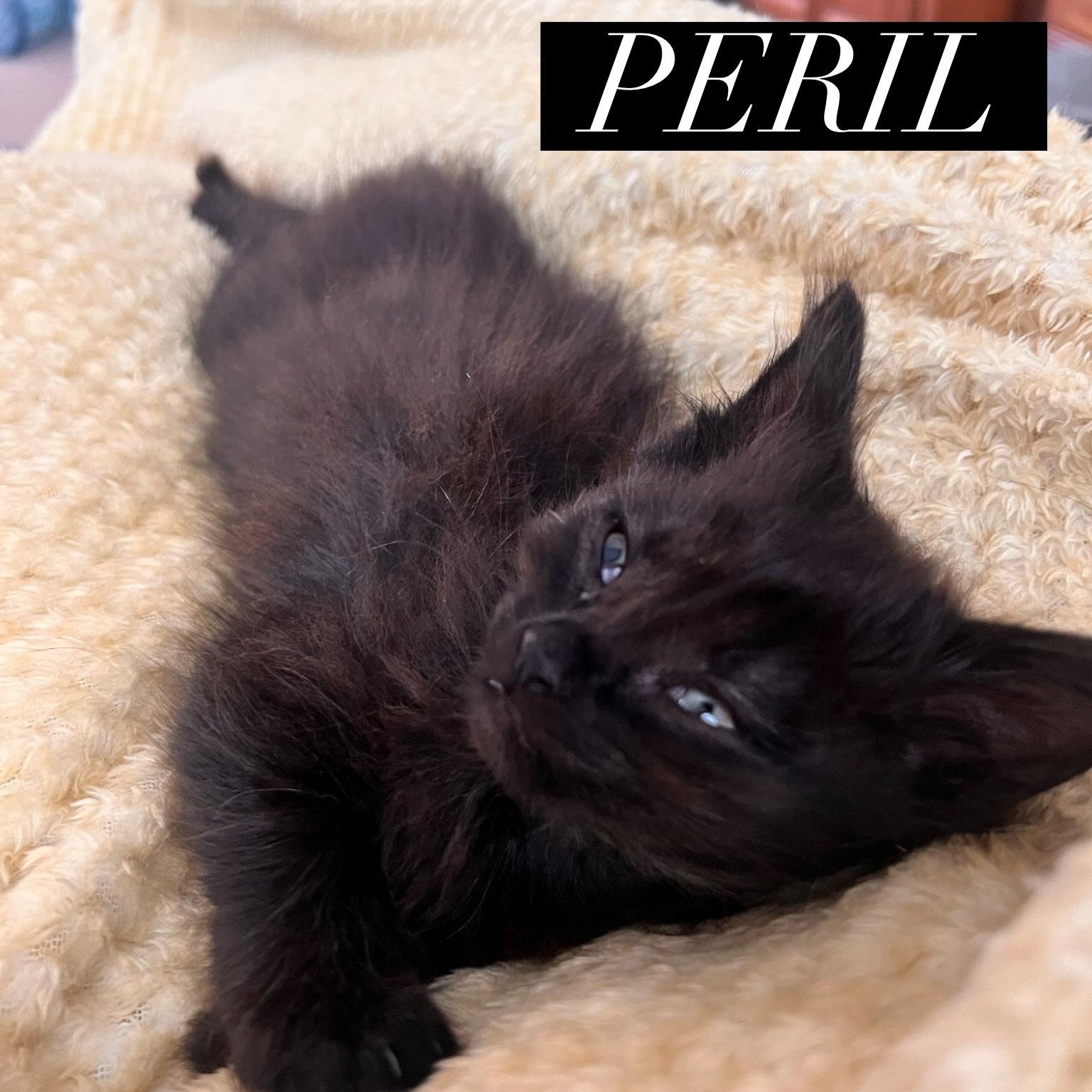 Peril