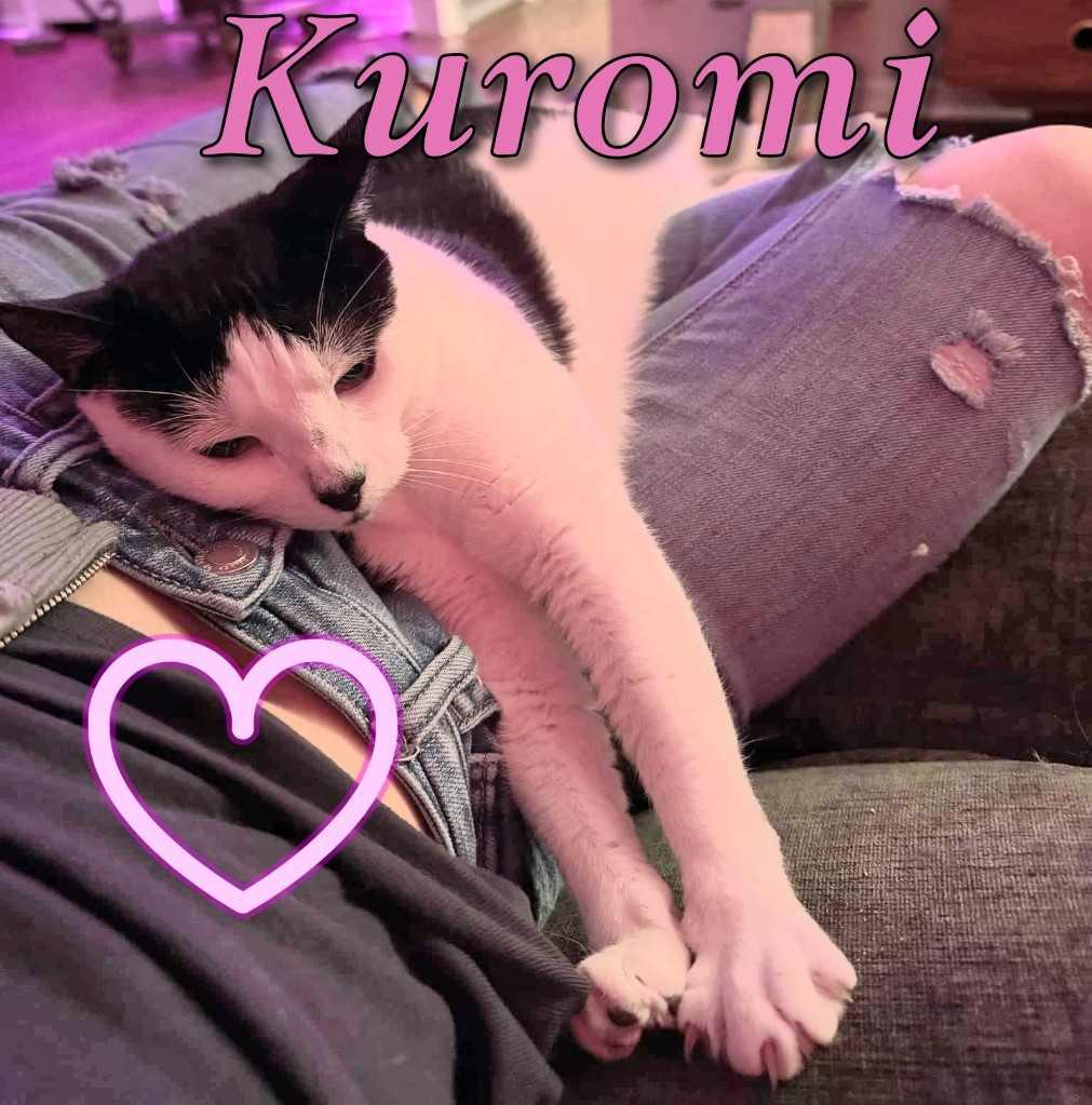 Kuromi