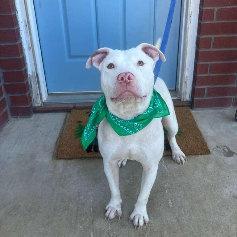 Sandy — thumbnail 2