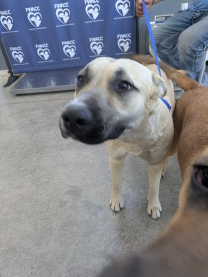 Chilindra thumbnail 2