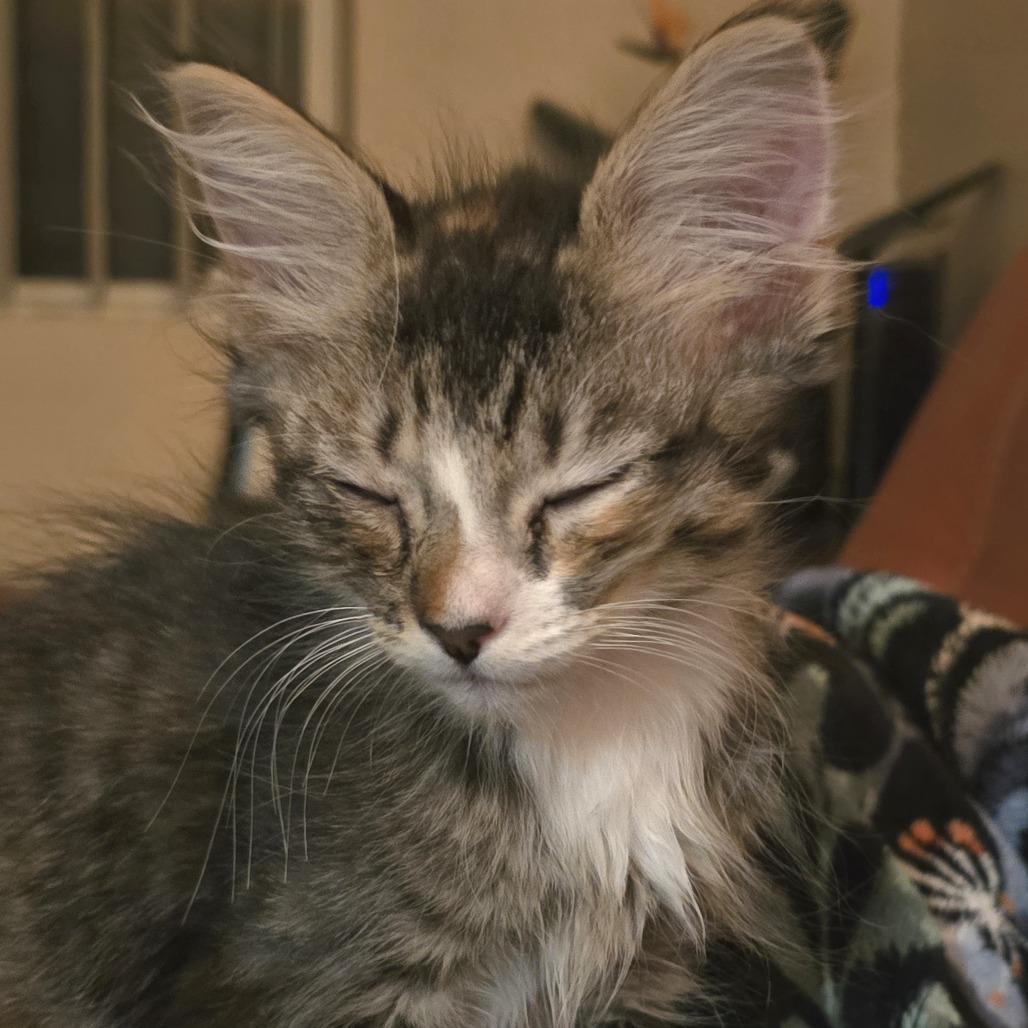 Heather — thumbnail 2