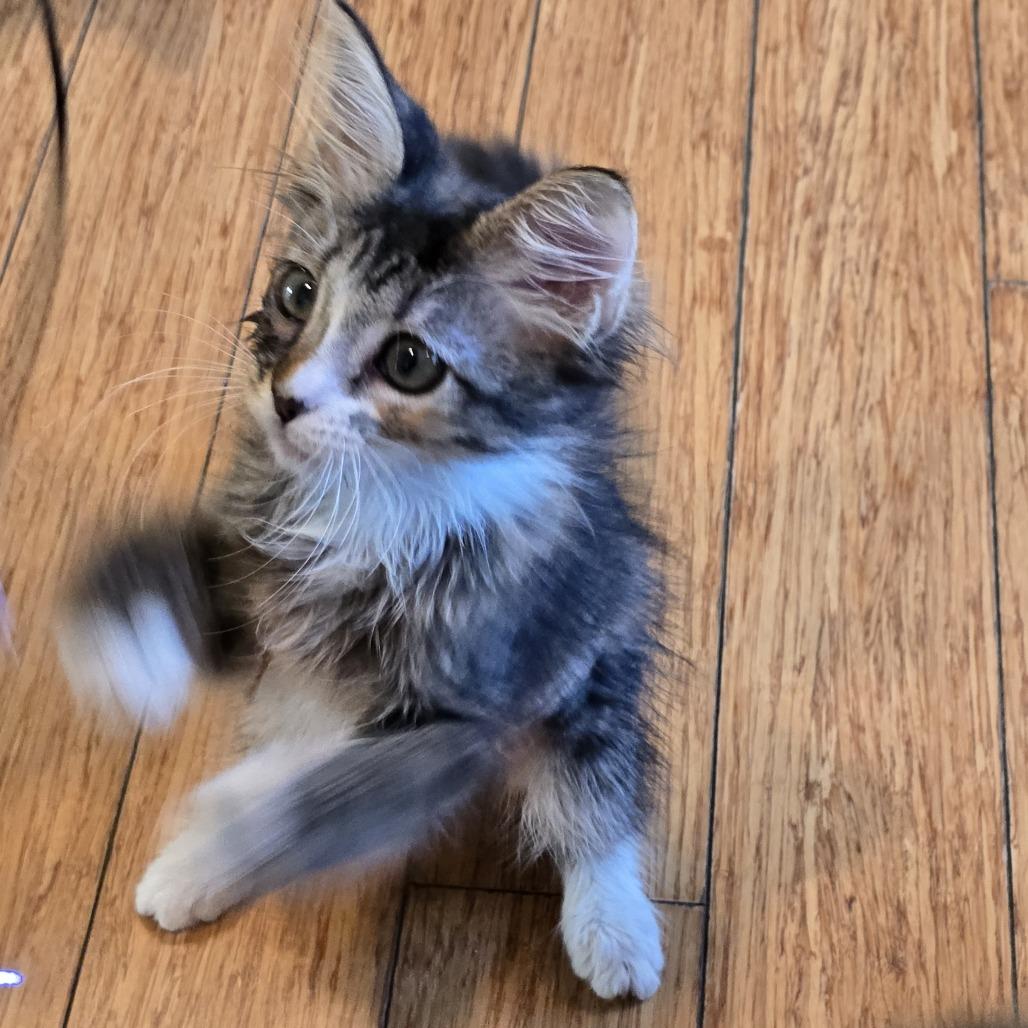 Heather — thumbnail 3